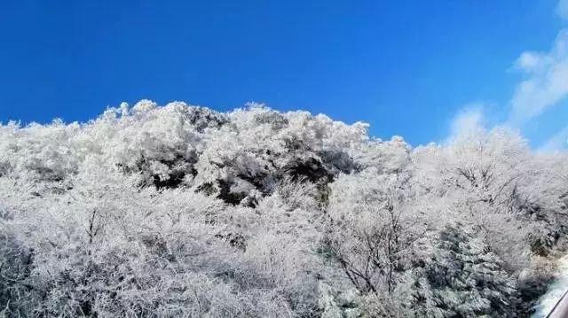 嗅觉失灵可能是由哪些原因引起的?